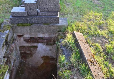 Břehovská Dáša, 2017