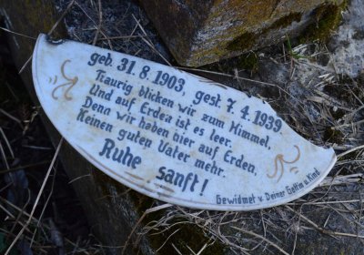 Břehovská Dáša, 2017