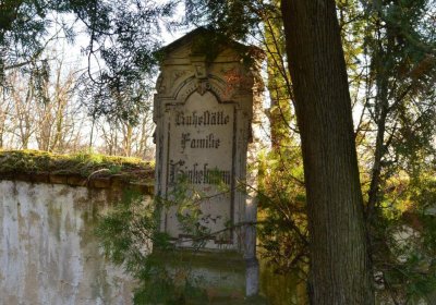 Břehovská Dáša, 2017