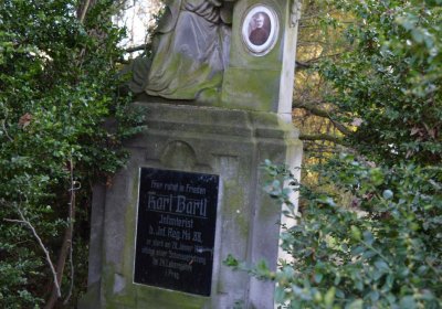 Břehovská Dáša, 2017