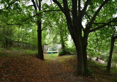 Zlovědice, Omnium, 2020