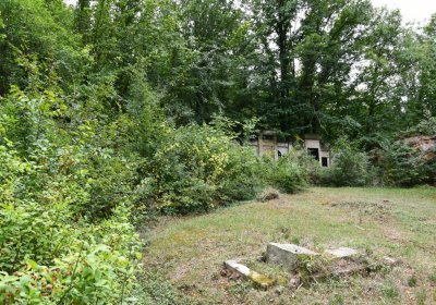 Zlovědice, Omnium, 2020