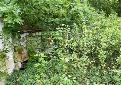 Zlovědice, Omnium, 2020