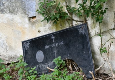 Zlovědice, Omnium, 2020