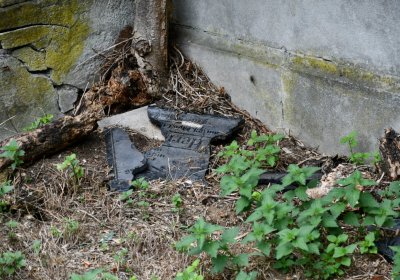 Zlovědice, Omnium, 2020