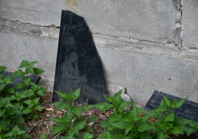 Zlovědice, Omnium, 2020