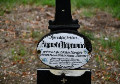 Zlovědice, Omnium, 2020