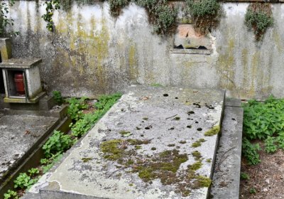 Zlovědice, Omnium, 2020