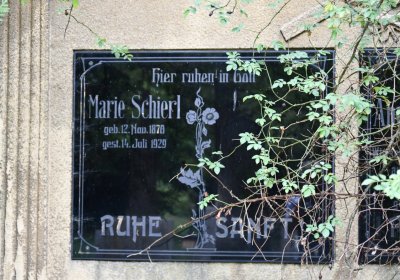 Zlovědice, Omnium, 2020