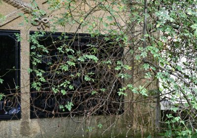 Zlovědice, Omnium, 2020