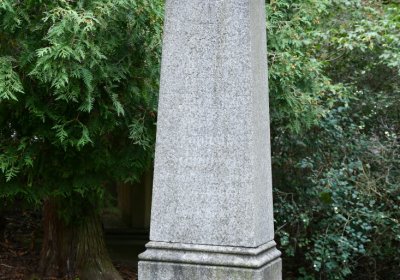 Zlovědice, Omnium, 2020