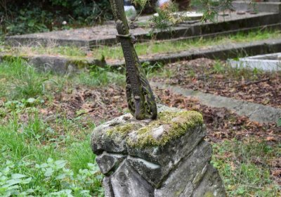 Zlovědice, Omnium, 2020