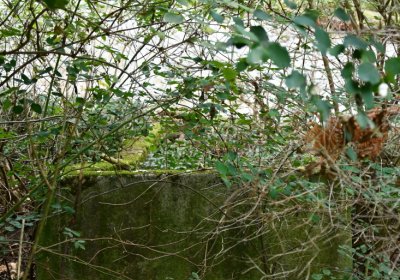 Zlovědice, Omnium, 2020