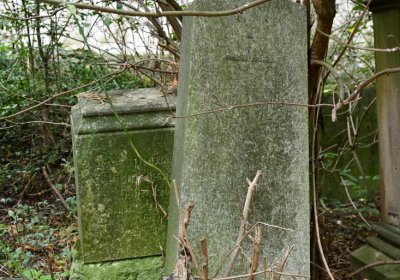 Zlovědice, Omnium, 2020