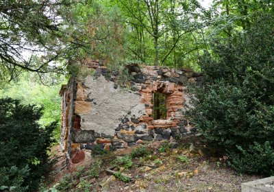 Zlovědice, Omnium, 2020