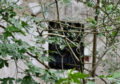 Zlovědice, Omnium, 2020