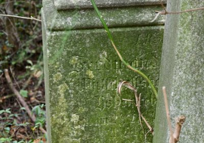 Zlovědice, Omnium, 2020