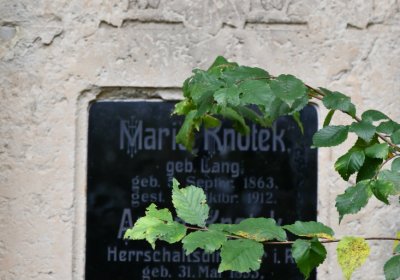 Zlovědice, Omnium, 2020