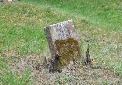 Zlovědice, Omnium, 2020