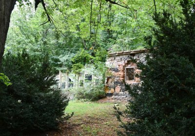 Zlovědice, Omnium, 2020