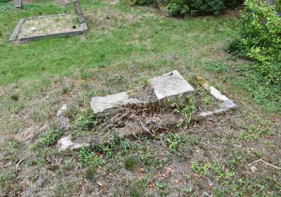 Zlovědice, Omnium, 2020