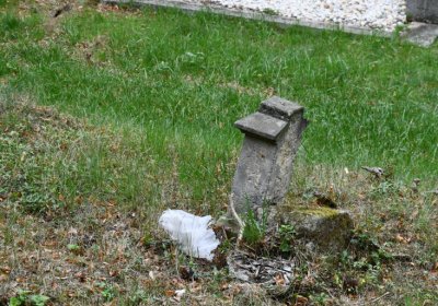 Zlovědice, Omnium, 2020