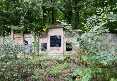 Zlovědice, Omnium, 2020