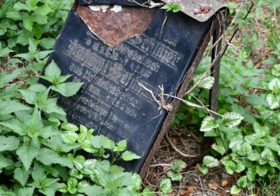 Zlovědice, Omnium, 2020