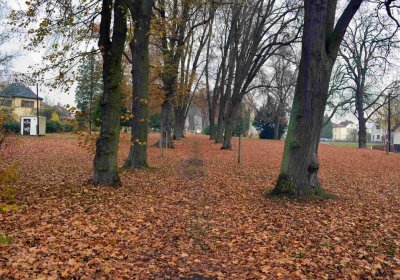 Šimůnek Tomáš, 2016