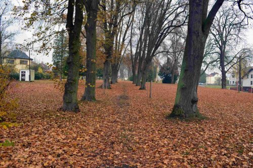 Dvůr Králové nad Labem