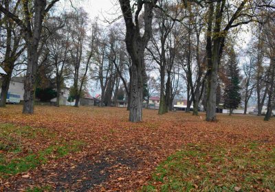 Šimůnek Tomáš, 2016