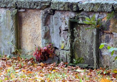 Šimůnek Tomáš, 2016