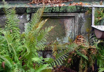 Šimůnek Tomáš, 2016