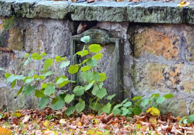 Šimůnek Tomáš, 2016