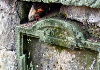 Šimůnek Tomáš, 2016