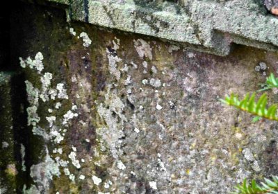 Šimůnek Tomáš, 2016