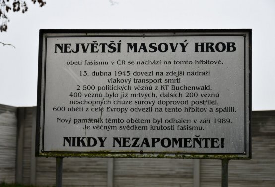O.N., 2022
