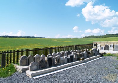 Vernéřov u Aše, Brezina Peter, 2008