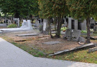 Lom u Mostu, Omnium, 2018