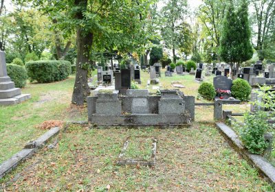 Lom u Mostu, Omnium, 2018