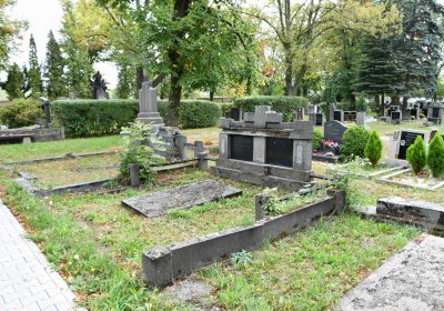 Lom u Mostu, Omnium, 2018