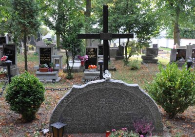 Lom u Mostu, Omnium, 2018