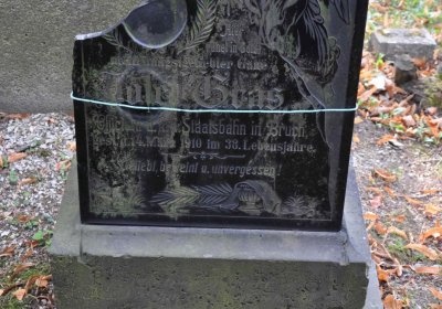 Lom u Mostu, Omnium, 2018