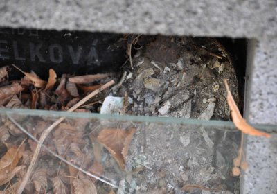 Lom u Mostu, Omnium, 2018