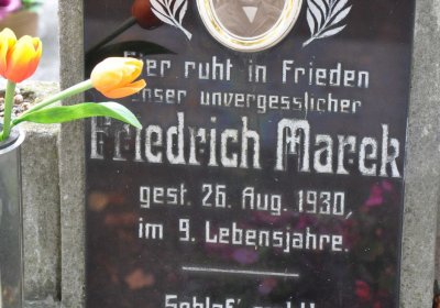 Lom u Mostu, Omnium, 2018