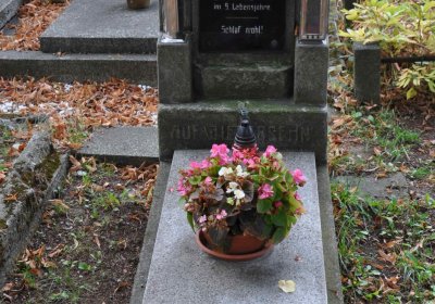 Lom u Mostu, Omnium, 2018