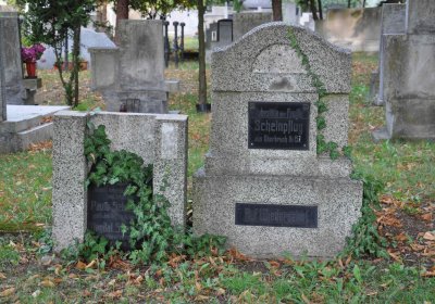 Lom u Mostu, Omnium, 2018