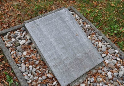 Lom u Mostu, Omnium, 2018