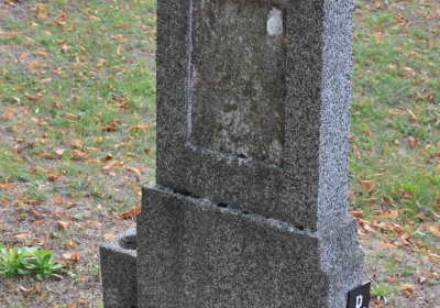 Lom u Mostu, Omnium, 2018