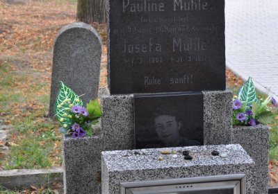 Lom u Mostu, Omnium, 2018